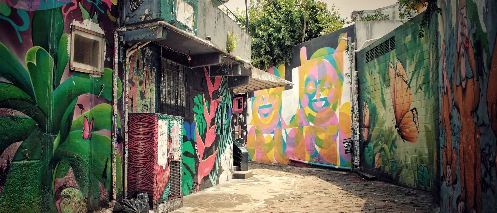 A São Paulo alley covered in murals